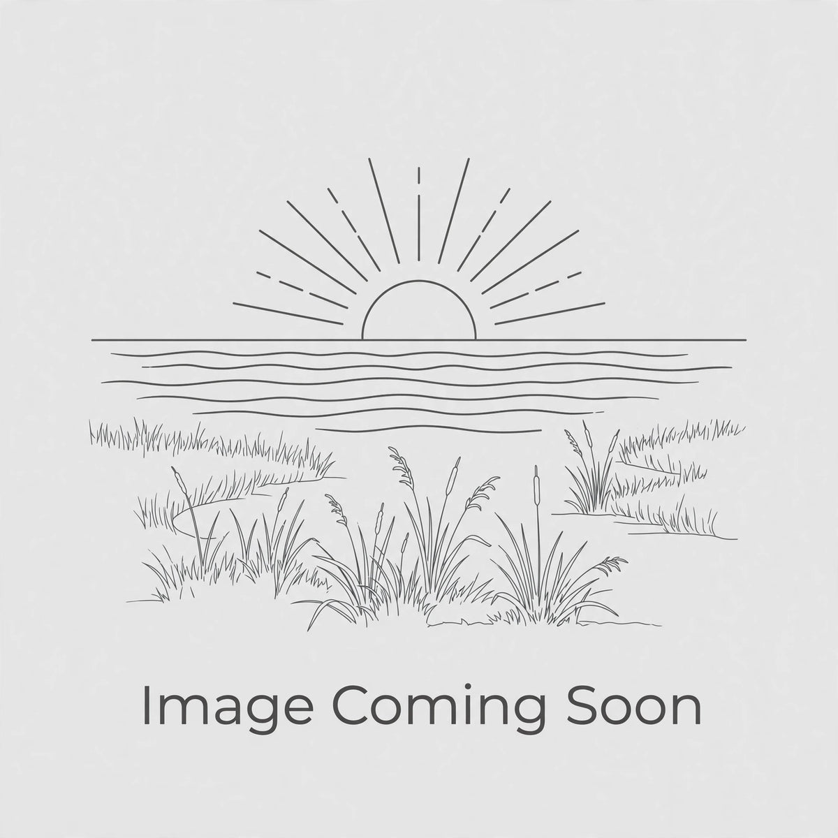 Image Coming Soon
